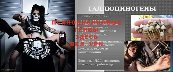 spice Алексеевка