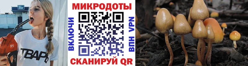 MEGA зеркало  Качканар  Псилоцибиновые грибы мицелий 
